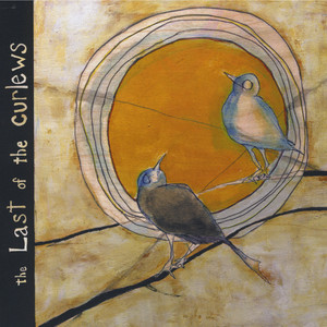 The Last of the Curlews cover