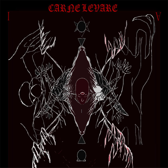 Carne Levare