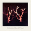 Trees in Winter cover