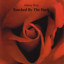 Touched By the Dark Albumcover