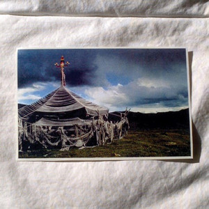 Ulaan Passerine Photo