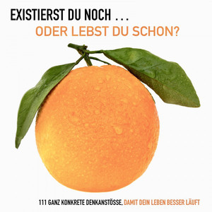 Existierst DU NOCH ... Oder LEBST DU SCHON? (111 ganz konkrete Denkanstöße, damit dein Leben besser läuft)