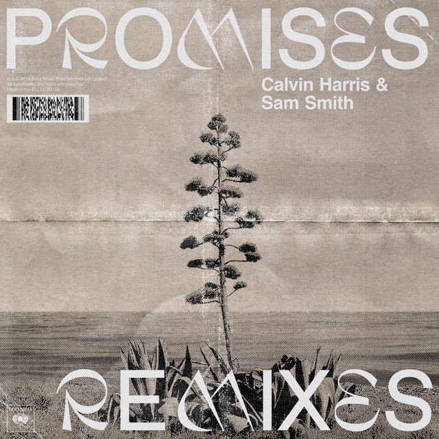 Promises (with Sam Smith) [remixes] cover