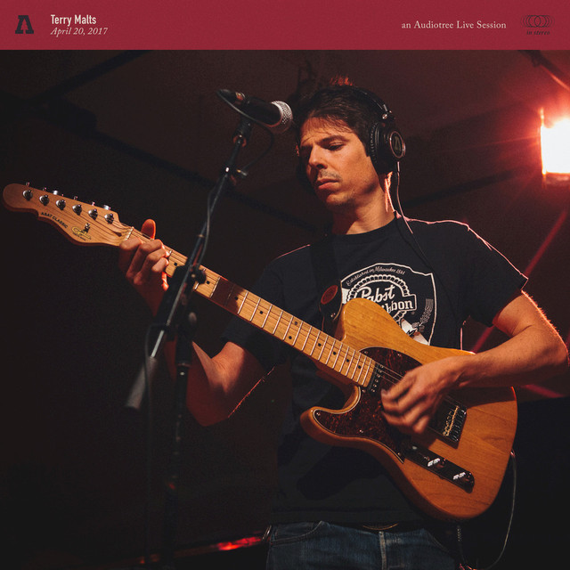 Terry Malts On Audiotree Live cover