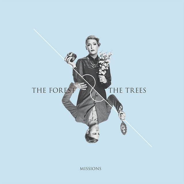 The Forest & The Trees Photo