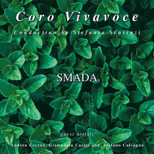 VivaVoce photo
