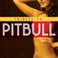 Tribute to Pitbull Albumcover