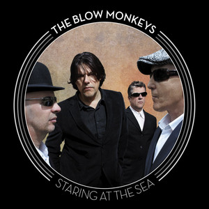 Staring at the Sea cover