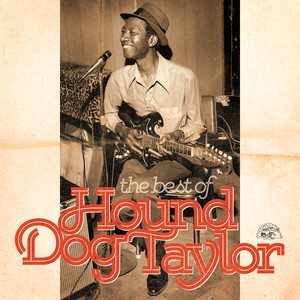 The Best Of Hound Dog Taylor cover
