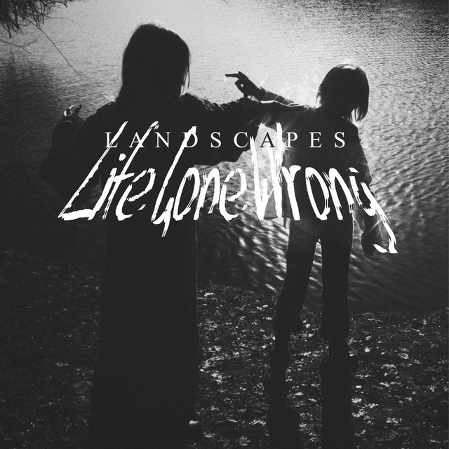Life Gone Wrong cover