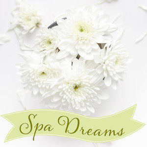 Spa Dreams – Best Relaxation, New Age, Sounds of Nature, Calm Down & Relax, Rest, Pure Mind album