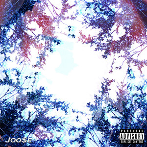 Joose cover