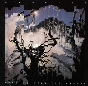 Burning From the Inside album