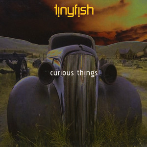 Curious Things cover