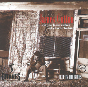 Deep in the Blues cover