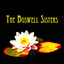 The Boswell Sisters cover