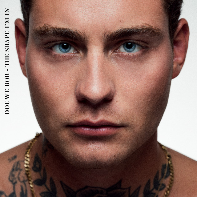 Shine cover