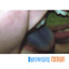 Freezepop Forever cover