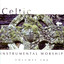 Celtic Expressions - Instrumental Worship cover