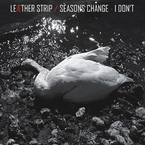 Seasons Change - I Don't album