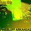 Pinebluff Arkansas (Remastered) cover