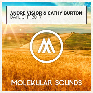 Daylight 2017 cover