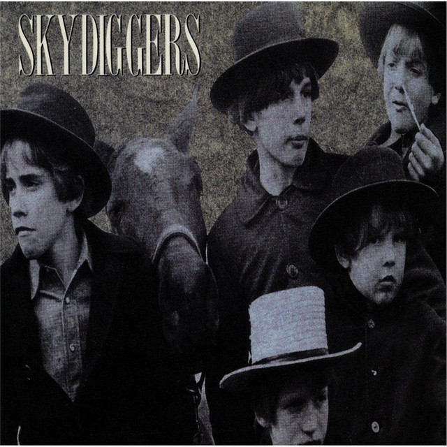 Skydiggers cover