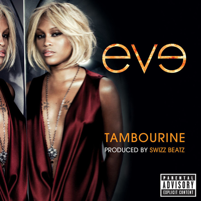 Tambourine cover