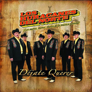 Dejate querer cover