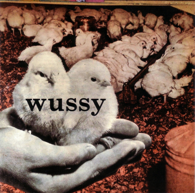 Wussy cover