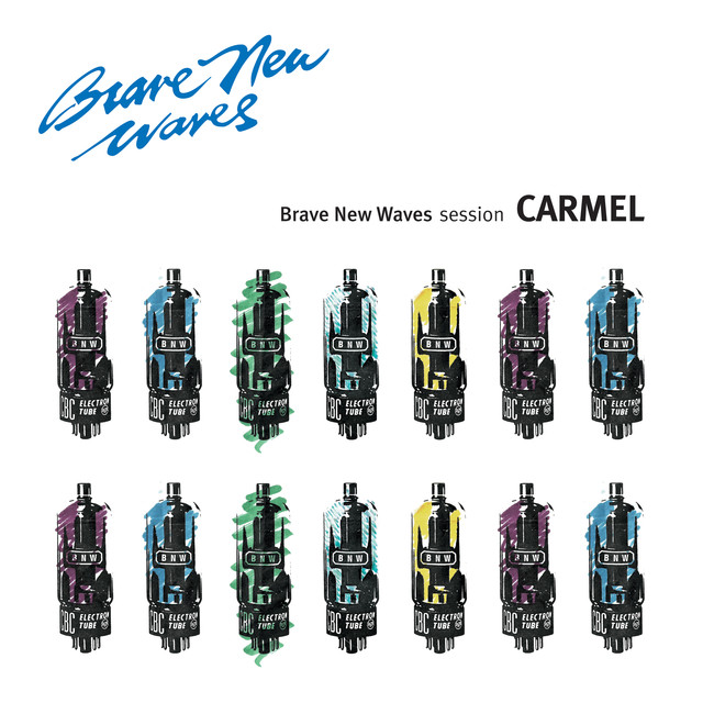 Brave New Waves Session cover