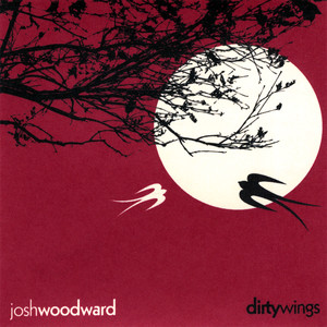 Dirty Wings cover