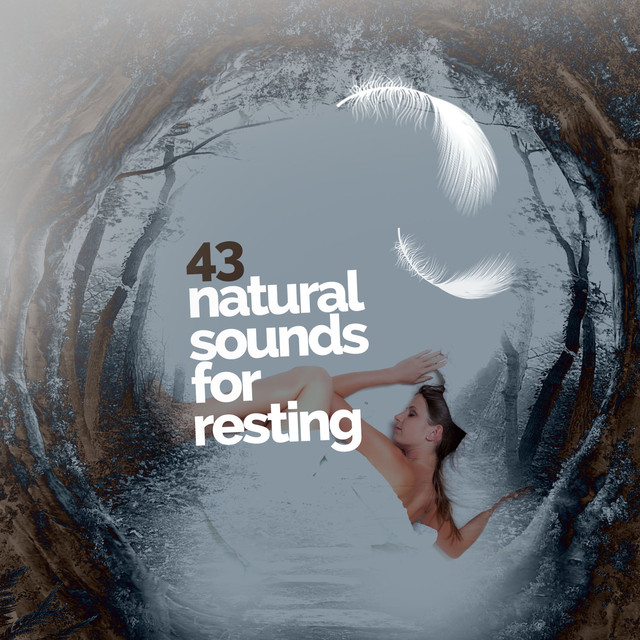 43 Natural Sounds For Resting