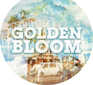 Golden Bloom Photo