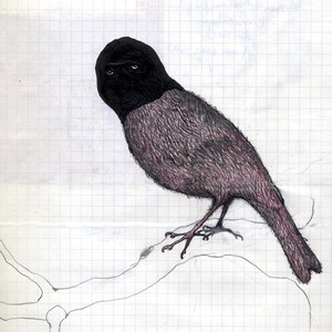 Barra Barra cover