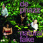 Natural Fake cover