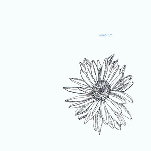 Chandelier cover