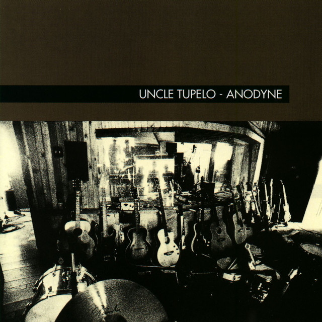 Anodyne cover