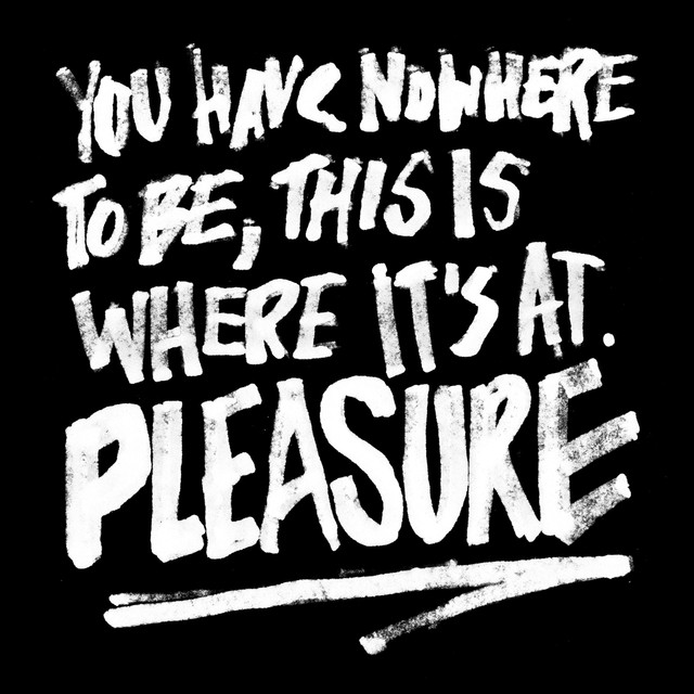 Pleasure cover