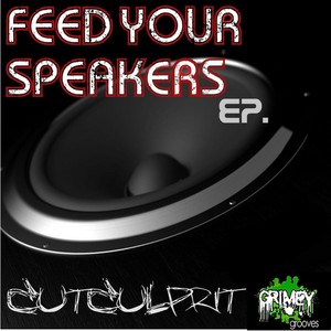 Feed Your Speakers Albumcover