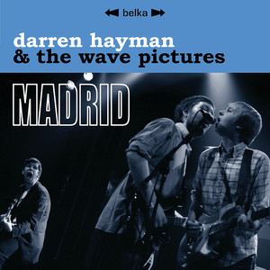 Darren Hayman and the Wave Pictures