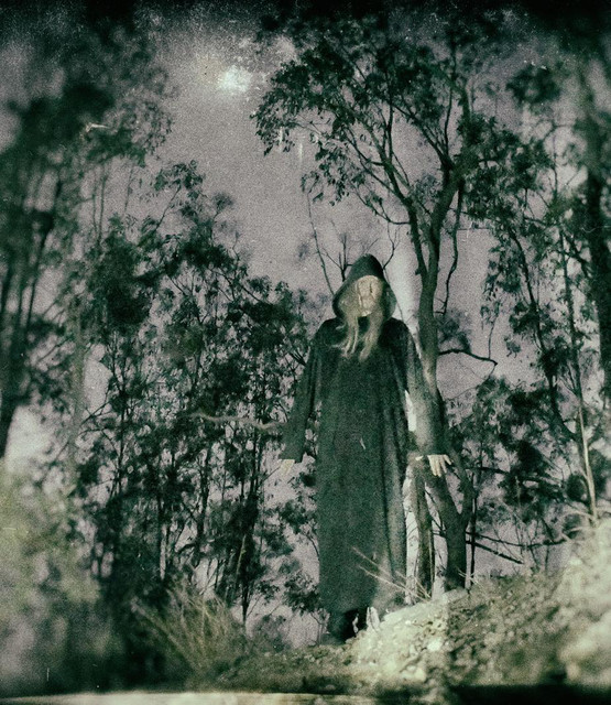 Midnight Odyssey photo