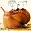 Snail Journey Albumcover