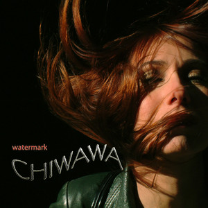 Watermark cover