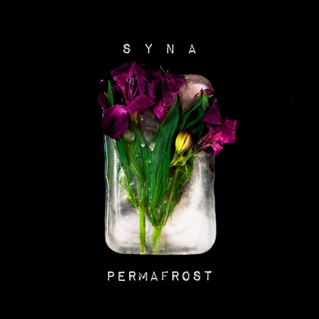 Syna Photo