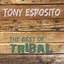 The Best of Tribal cover