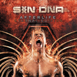 Afterlife cover