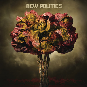 New Politics album