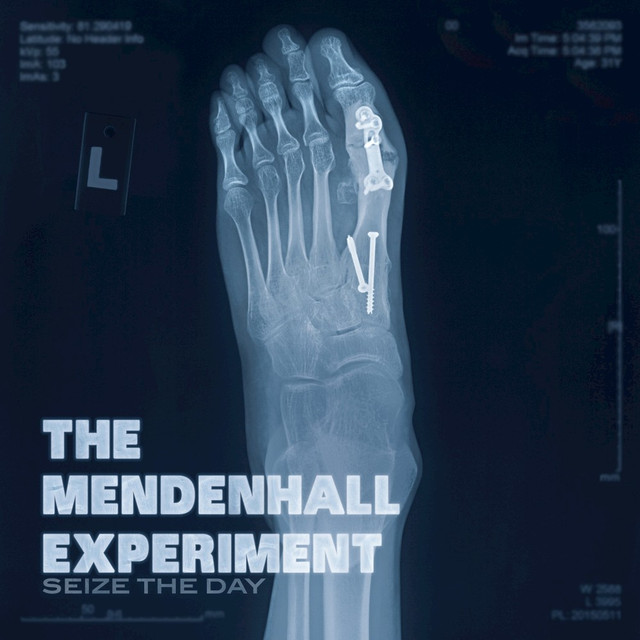 The Mendenhall Experiment Photo
