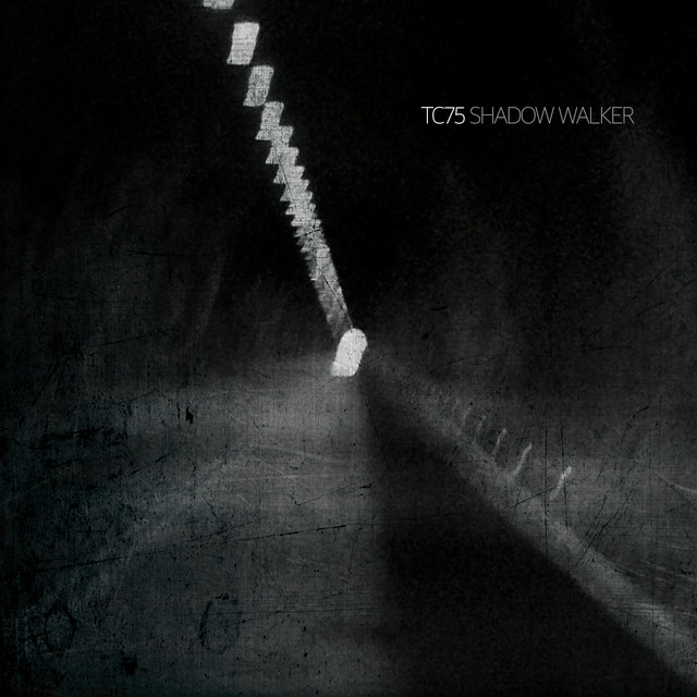 Shadow Walker cover